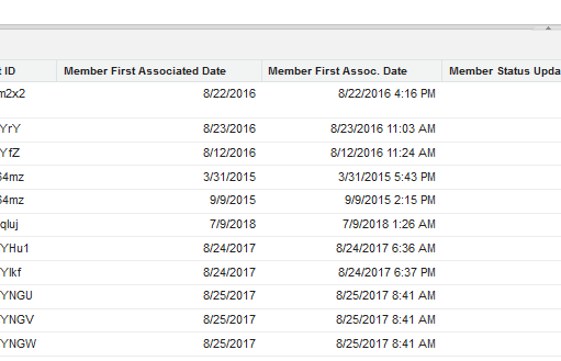 Report with new Campaign Member First Associated Date/Time Field